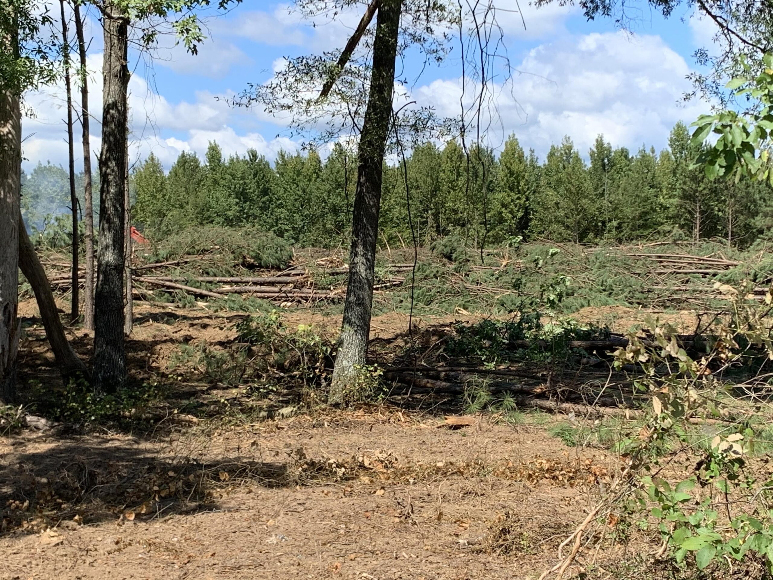 Land prep work begins for new Warren elementary school