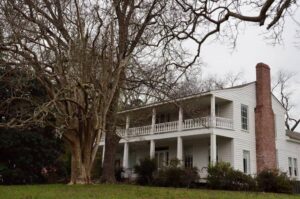 A large white house sitting next to a tree.