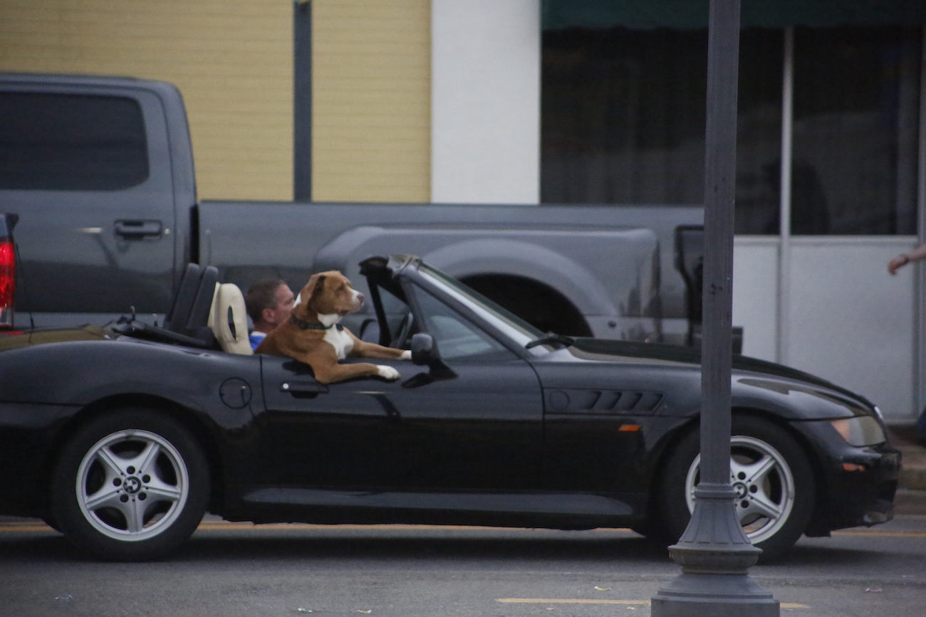 A man standing next to some ropes and a horse.