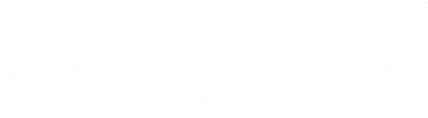 A black and white image of the word " vfx news ".