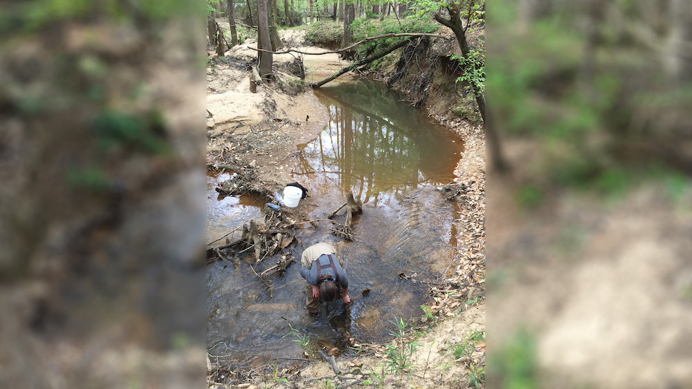 Finding nature’s hidden threshold for saltiness in the space where forests meet streams