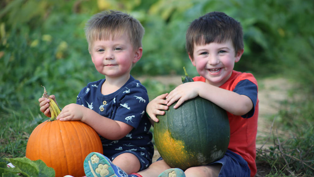 Old Milo Pumpkin Patch Offers Fall Fun for the Entire Family