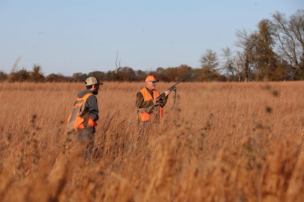 Special permit-based quail hunts available on two Arkansas WMAs