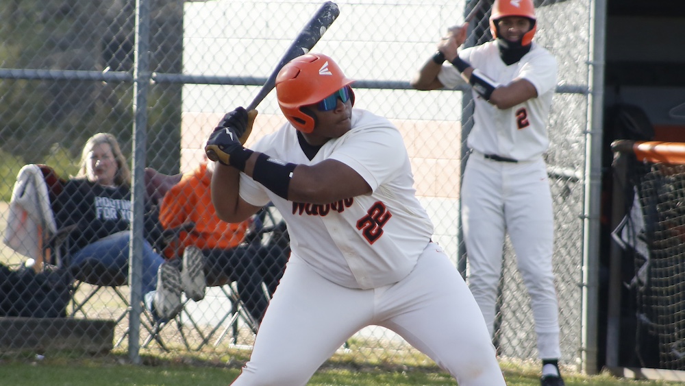 Warren Falls in Extra Innings to Stuttgart