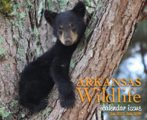 A black bear cub is sitting in the tree.