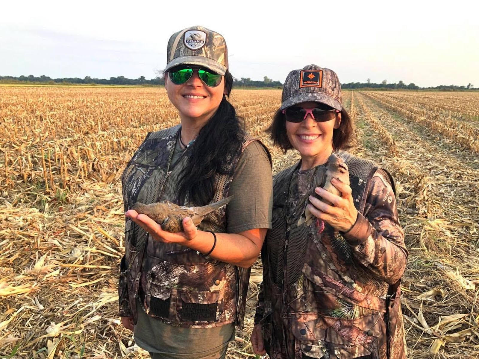 Permit application period winding down for upcoming dove hunting season