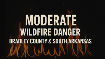 Bradley County and Southern Arkansas Under Moderate Wildfire Risk