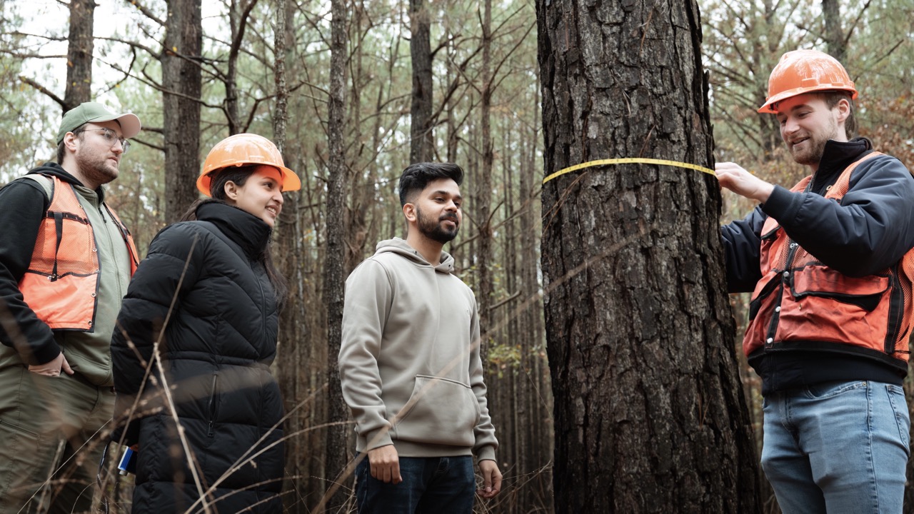 UAM To Offer Ph.D. in Forest Resources