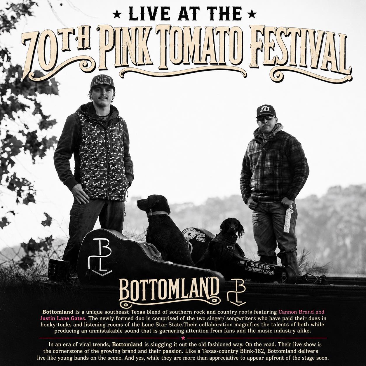 Bottomland performing at the Pink Tomato Festival