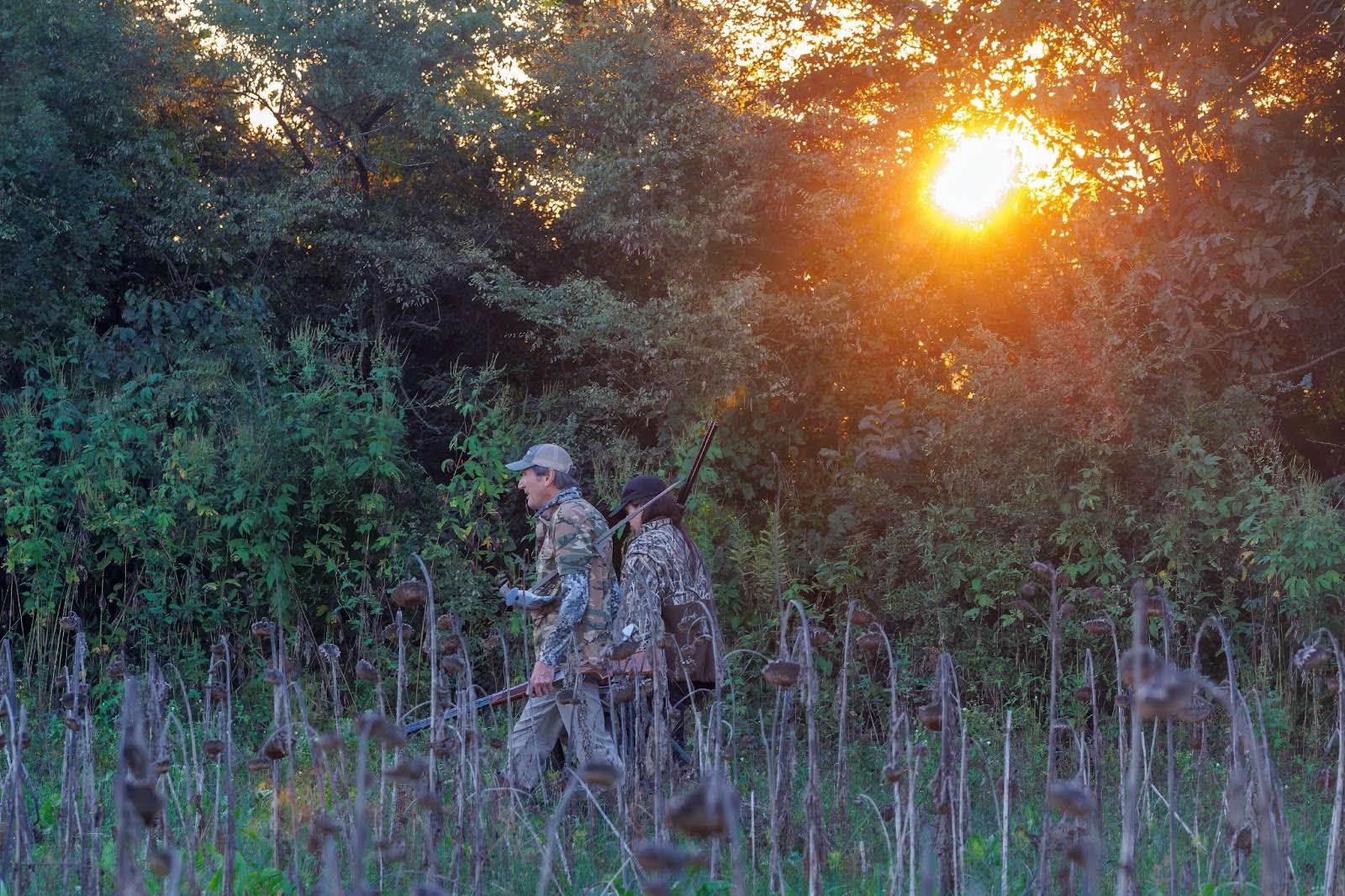 AGFC Preparing Dove Fields for Opening Weekend